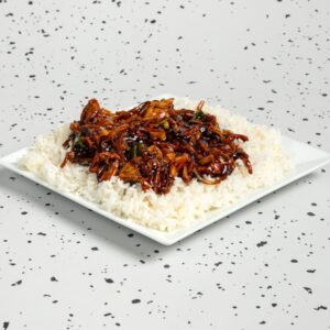 Πιάτο teriyaki